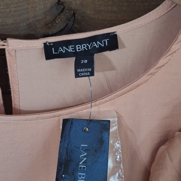 LANE BRYANT Blush Pink Ruffled Long Sleeve Blouse SZ 28 - Picture 5 of 8